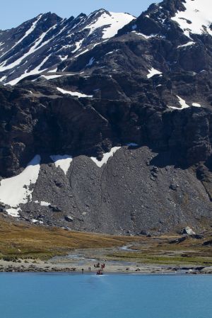 Royal Bay, South Georgia Island 007.jpg